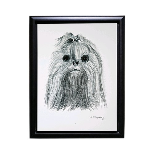 Shih tzu dog print - shih, from