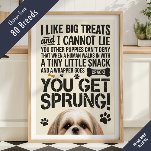 Funny dog treats lyric - dog,