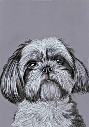 Original pencil artwork - b&w,