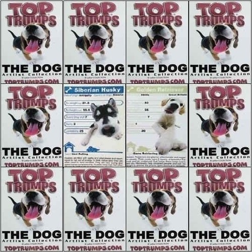 Top trumps single card - trumps, dog
