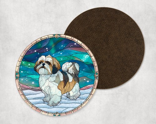 Shih tzu dog - dog, lights
