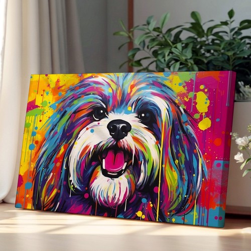 Shih tzu pop - shih,