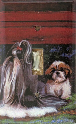 Shih tzu single - toggle, light