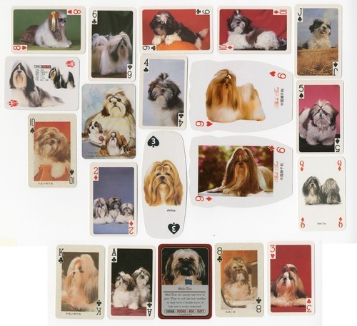 Shih tzu collection 20 - collection,