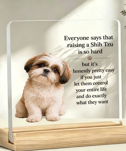 Fun shih tzu acrylic comedic - shih,