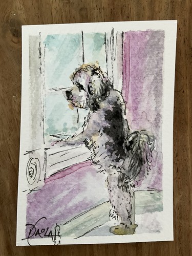 Watercolor aceo painting shih - watercolor,