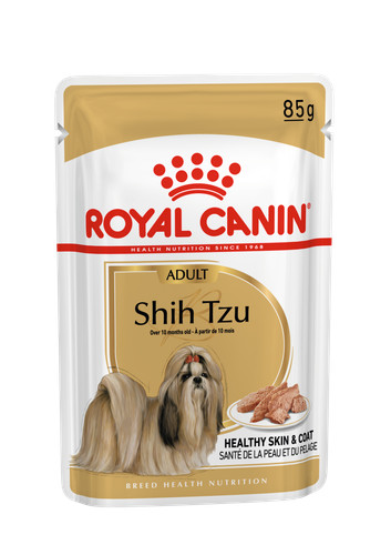 Shih tzu adult loaf - shih, in