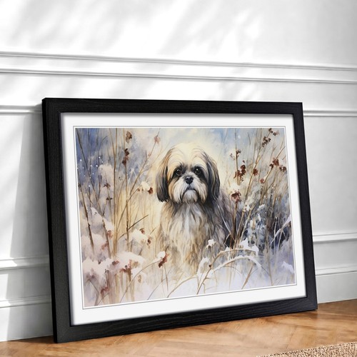 Shih tzu watercolour framed - tzu,
