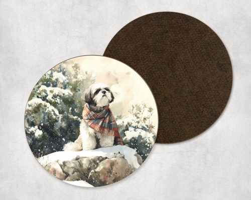 Shih tzu dog - shih,