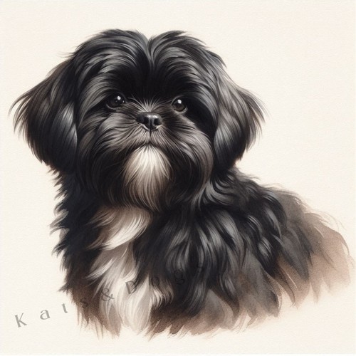 Black shih tzu watercolour art - tzu,