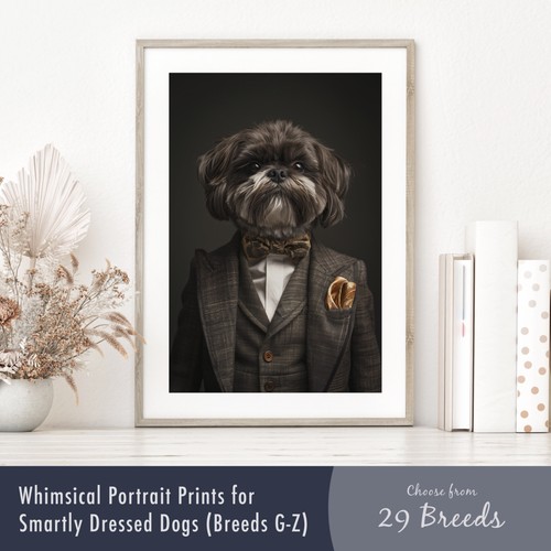 Smartly dressed dog - smartly,
