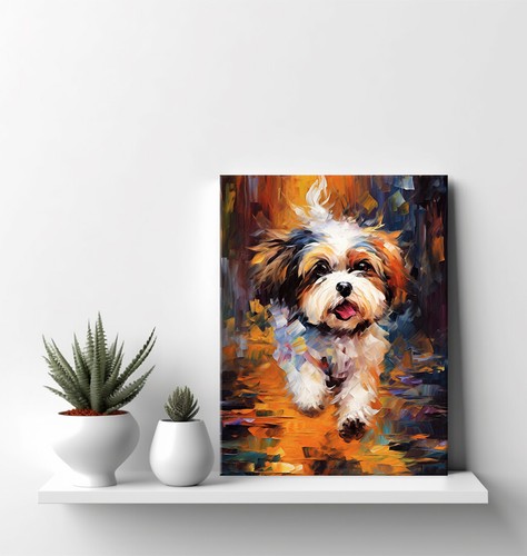 Shih tzu dog - shih,