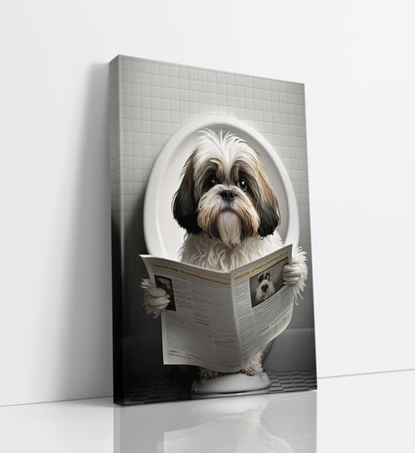 Shih tzu dog reading - shih, on