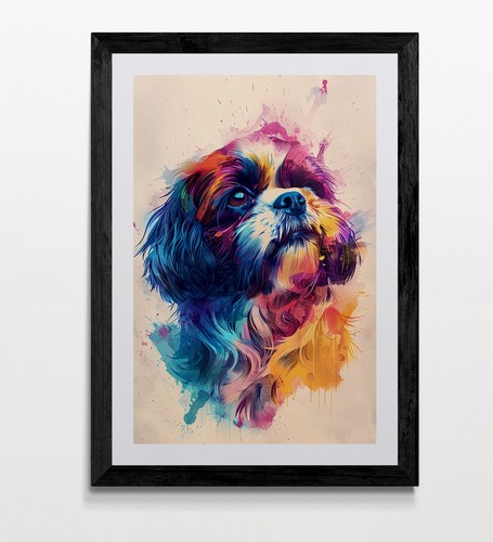 Shih tzu dog - shih,